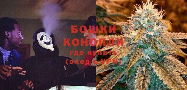 экстази Бородино