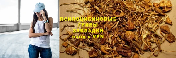 герыч Бронницы