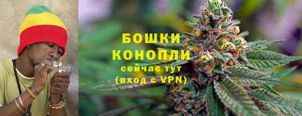гидра Бугульма