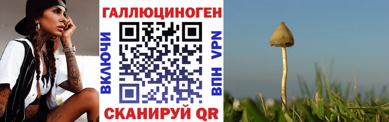Псилоцибиновые грибы Magic Shrooms это какой сайт Бийск